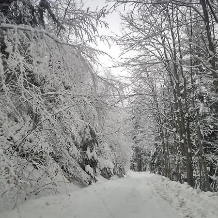 Vakantiehuis Vikendica Za Odmor