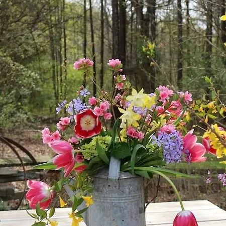 Vikendica Za Odmor Busovaca